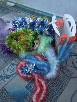 31 ������� �� ���������� ��������� �������� ���������� �������������� ���������� ����������