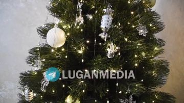 В рамках Всероссийской акции «Елка желаний» Председатель Правительства ЛНР Егор Ковальчук осуществил новогоднюю мечту Максима из города Кировска