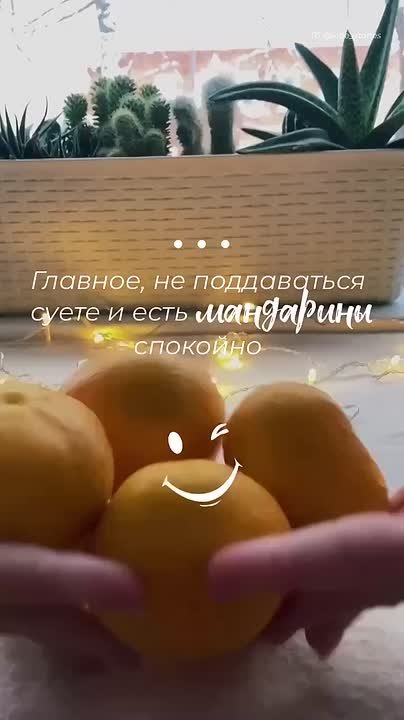 Доброй и мирной ночи, жители Новоайдарского округа!