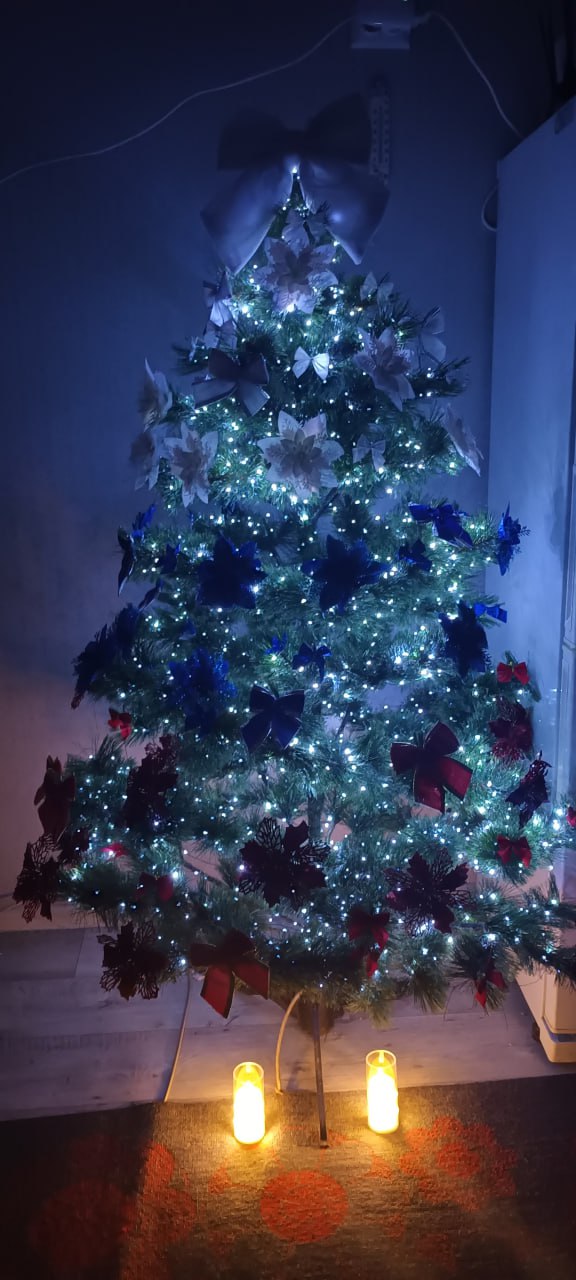 47 Лучшая новогодняя ёлка