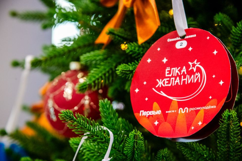 Елка желаний: Анна Рослякова осуществила мечты детей Новопсковского округа Елка желаний: Анна Рослякова осуществила мечты детей Новопсковского округа
