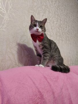 2 января на территории Луганской Народной Республики будет облачно с прояснениями