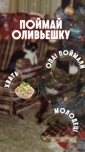 ������ ������, ���� �������!