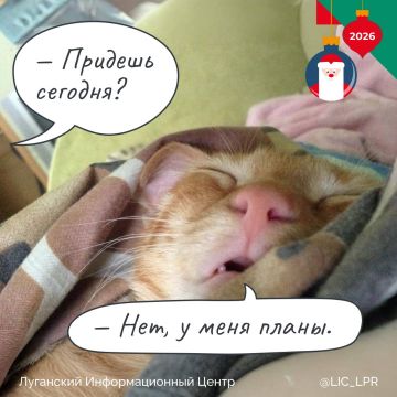 Интроверты всего мира объединяйтесь — сегодня день интроверта! И если вы устали от бесконечных гостей и шумных вечеринок, проведите время наедине с самим собой без угрызений совести. А мы кладем подарок под елочку для...