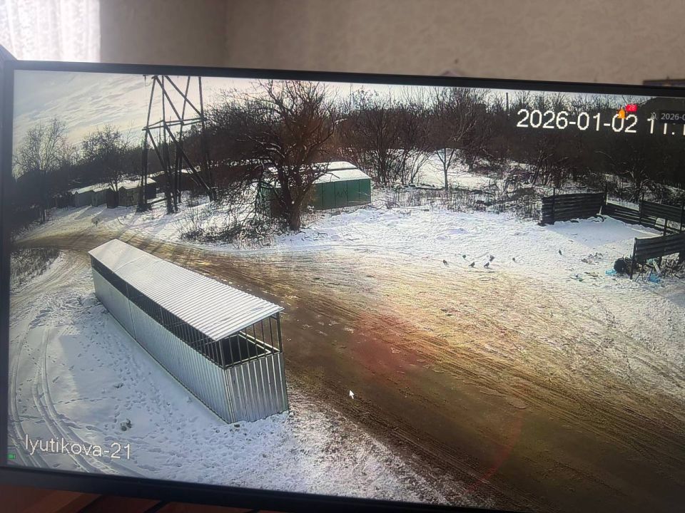 Объем отходов на контейнерных площадках в праздничные дни традиционно увеличивается Объем отходов на контейнерных площадках в праздничные дни традиционно увеличивается