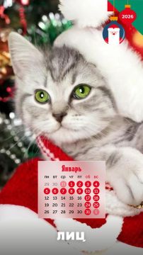 ���-���! � �� �������� ��� ������ �� ����� �����!�