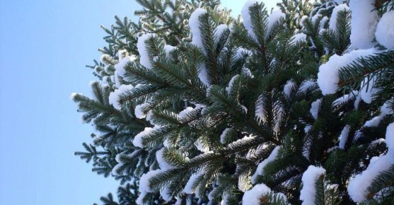 С добрым утром, кировчане!