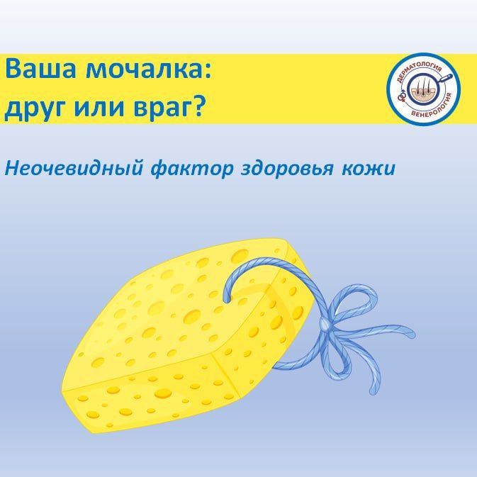 ���� ������ ����� ���� ������� ����������: ����� �������� � �������� ���� ���� �������� ������, ������� ����������� � ������ ������ ���