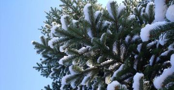 С добрым утром, кировчане!