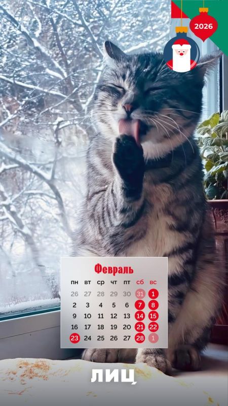 Мрр-мяу! — на кошачьем это значит «С Новым годом!» Мрр-мяу! — на кошачьем это значит «С Новым годом!»