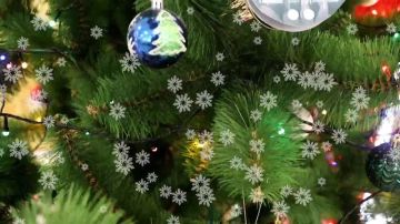 «Ёлка желаний» в Северодонецке: мечты Рината и Максима сбываются