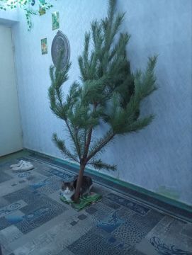 4 января на территории Луганской Народной Республики будет облачно