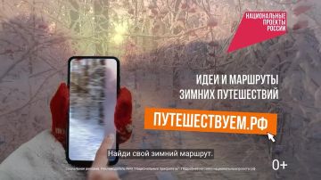 Сколько зим — и все разные!