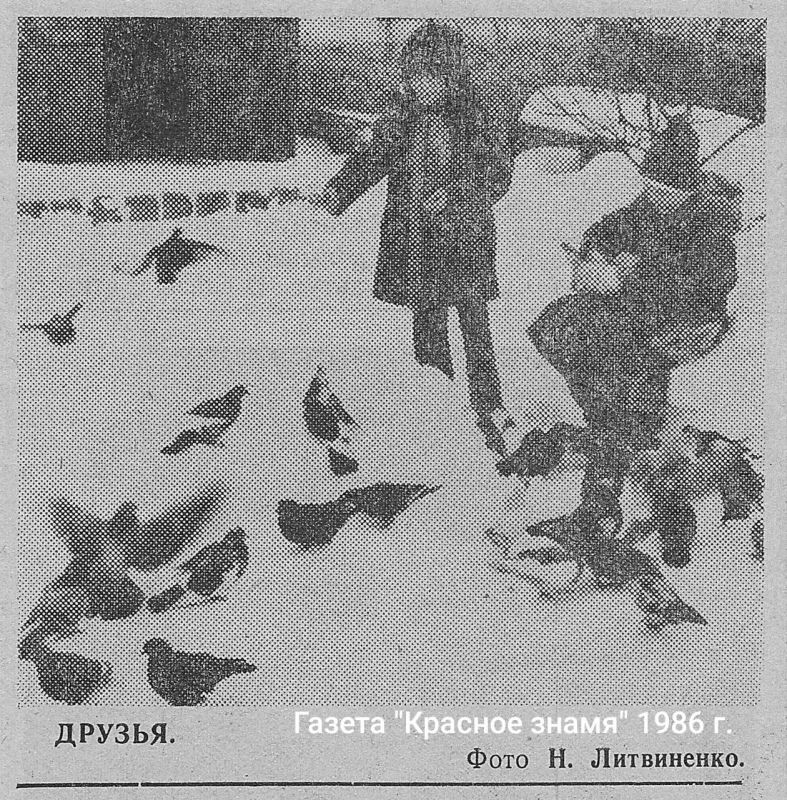 Время волшебства и снежных приключений! Время волшебства и снежных приключений!