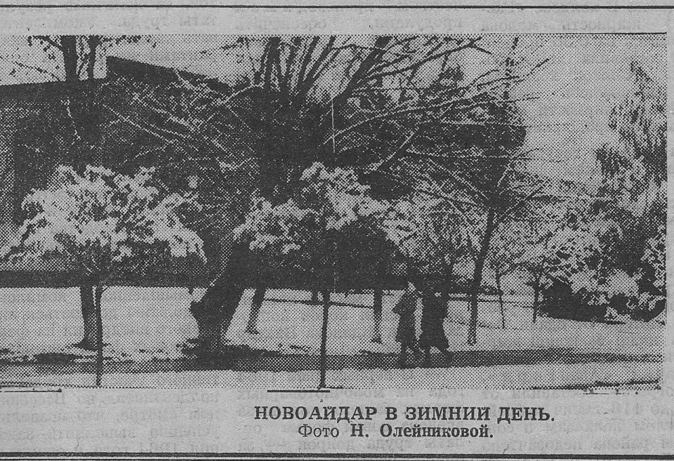 Время волшебства и снежных приключений! Время волшебства и снежных приключений!