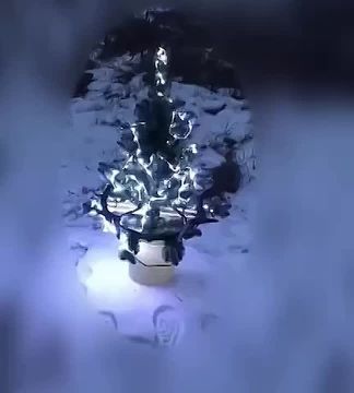 � �������� ��������� �����, �� ������� ���������� ����� ��������� �� ������� ��� ���� � ���������� ����� � ���������� ���������