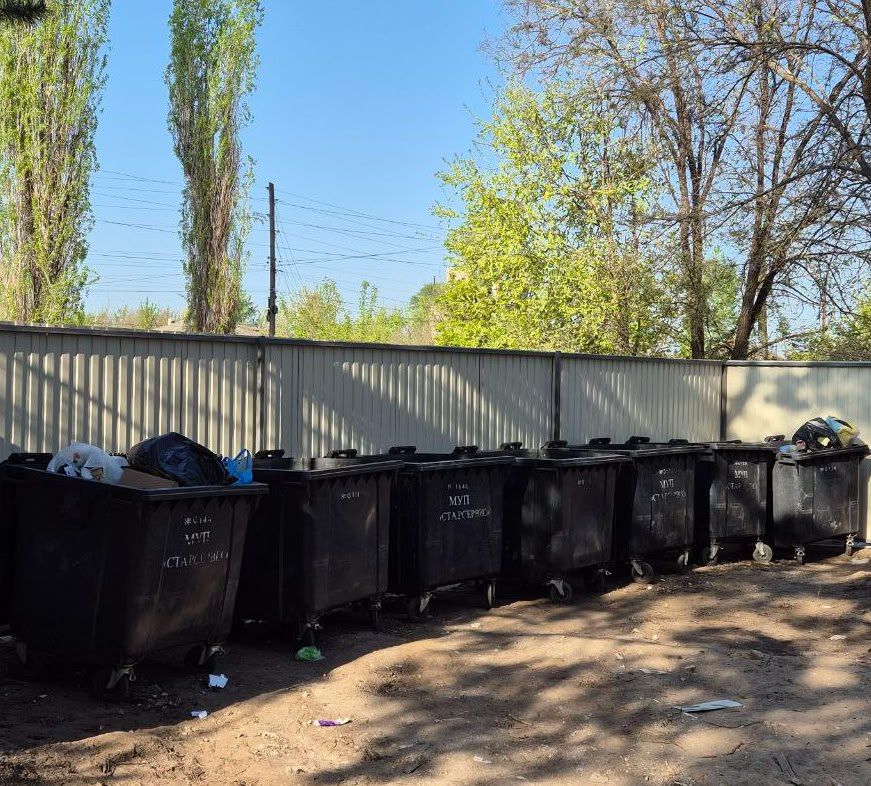 ����������� � ������ 2025: ���������������