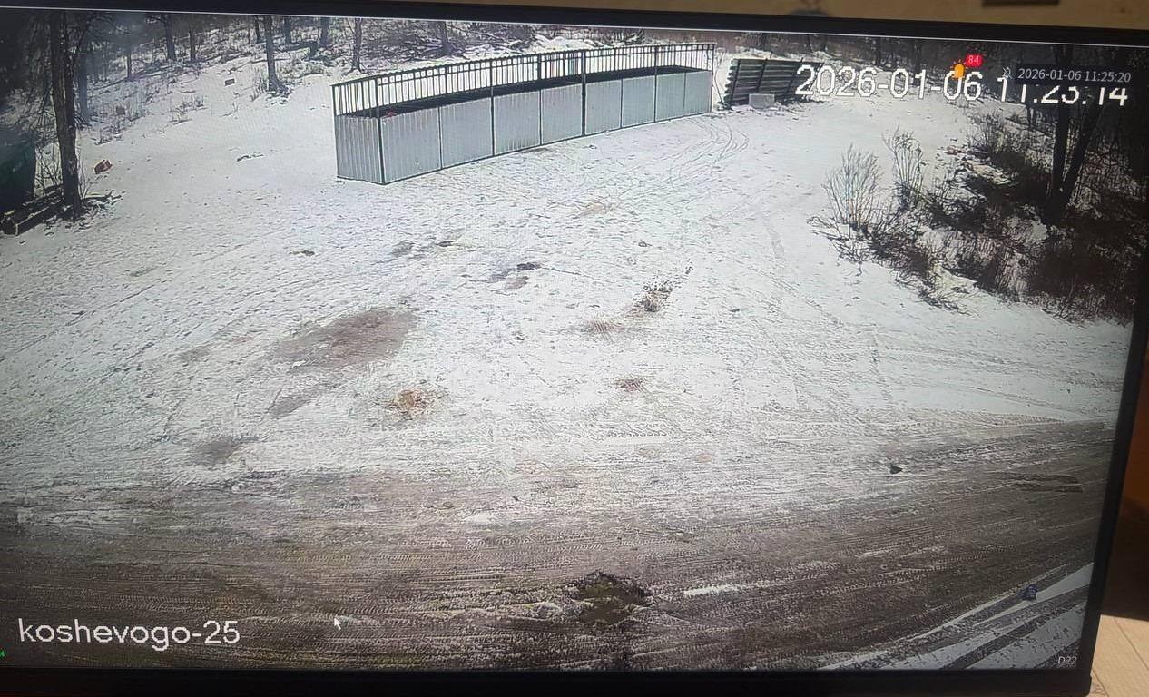 В период длительных новогодних праздников, когда объем отходов традиционно увеличивается, МУП «Чистый город» обеспечивает стабильную работу на территории Краснодонского муниципального округа В период длительных новогодних праздников, когда объем отходов традиционно увеличивается, МУП «Чистый город» обеспечивает стабильную работу на территории Краснодонского муниципального округа