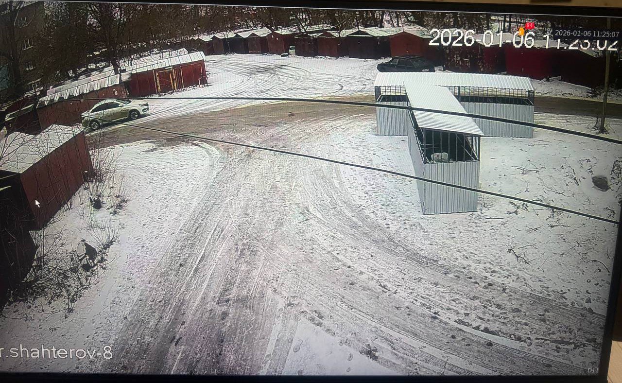 В период длительных новогодних праздников, когда объем отходов традиционно увеличивается, МУП «Чистый город» обеспечивает стабильную работу на территории Краснодонского муниципального округа В период длительных новогодних праздников, когда объем отходов традиционно увеличивается, МУП «Чистый город» обеспечивает стабильную работу на территории Краснодонского муниципального округа