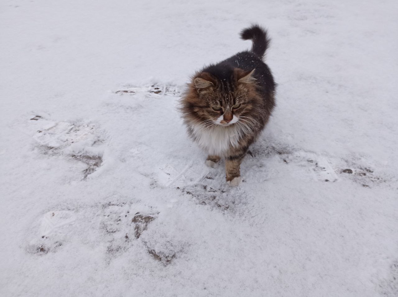 7 января на территории Луганской Народной Республики будет облачно