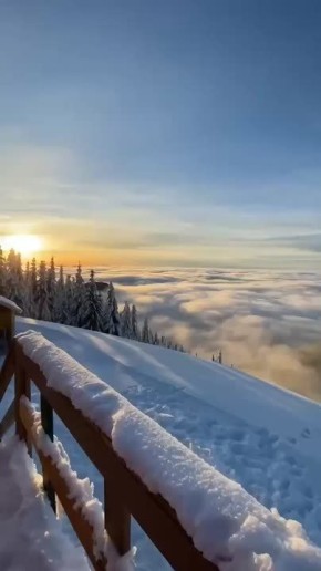 ������ � ������ ����, ������ �������������� ������!