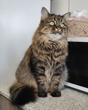 8 января на территории Луганской Народной Республики будет облачно с прояснениями