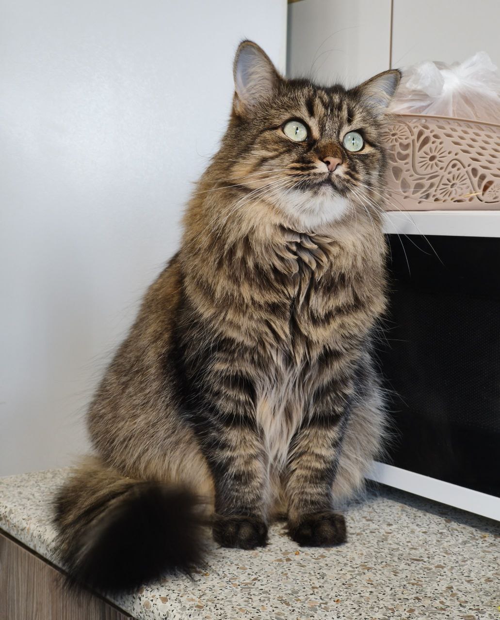 8 января на территории Луганской Народной Республики будет облачно с прояснениями