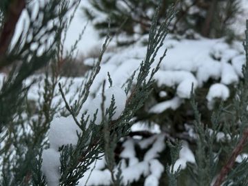 � ������ �����, ������ ����������� �������������� ������ !