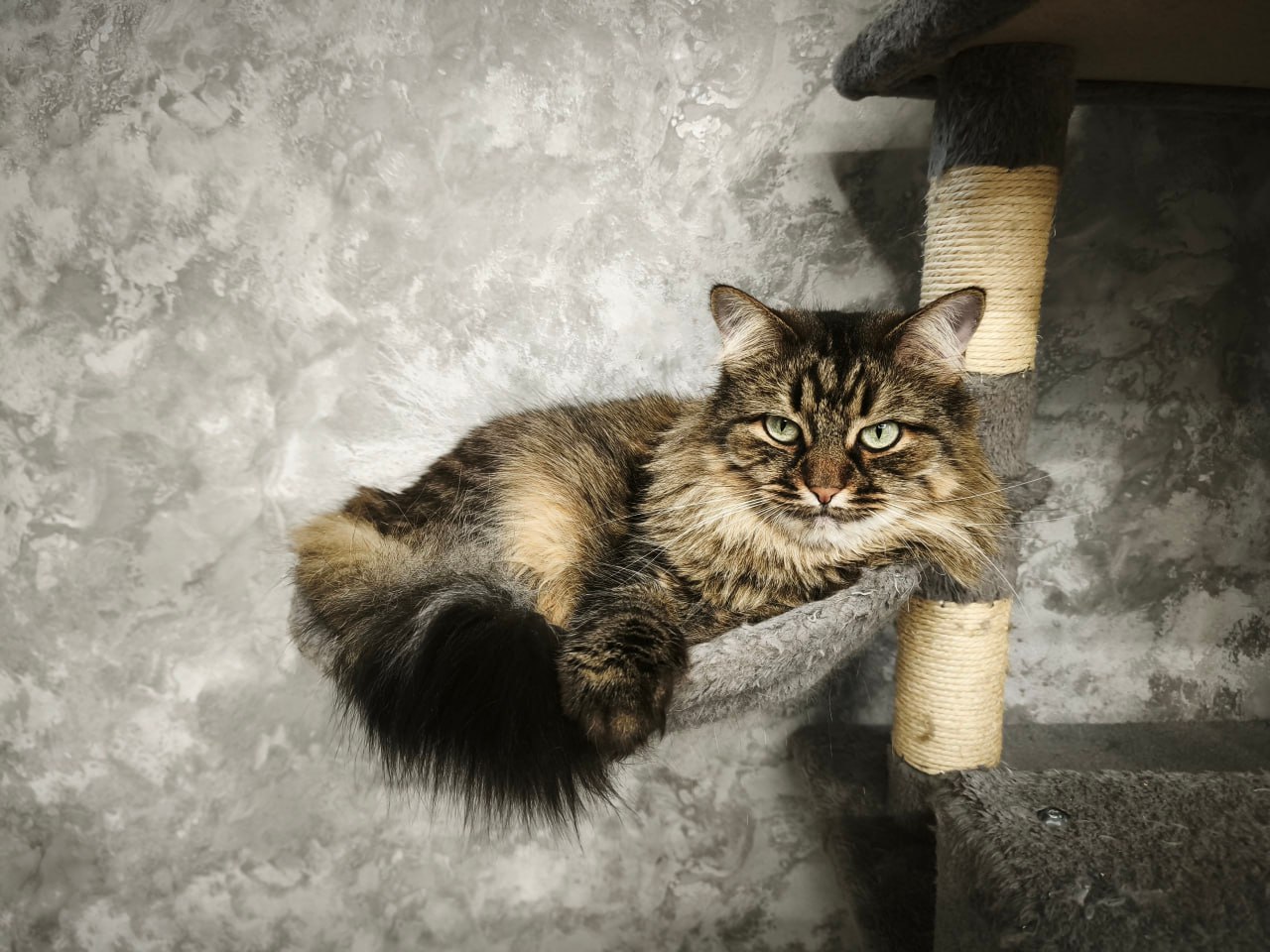 10 января на территории Луганской Народной Республики будет облачно с прояснениями