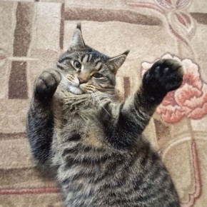 11 января на территории Луганской Народной Республики будет облачно