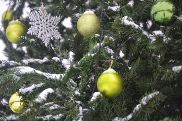 ������ ���� ��������� � ���