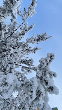 � ��� ��������� ���� � ���������