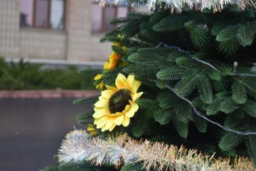 ������ ����! ������� 10.01.2026