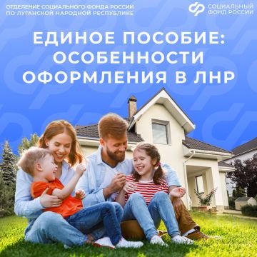 Каковы особенности оформления единого пособия для жителей ЛНР?