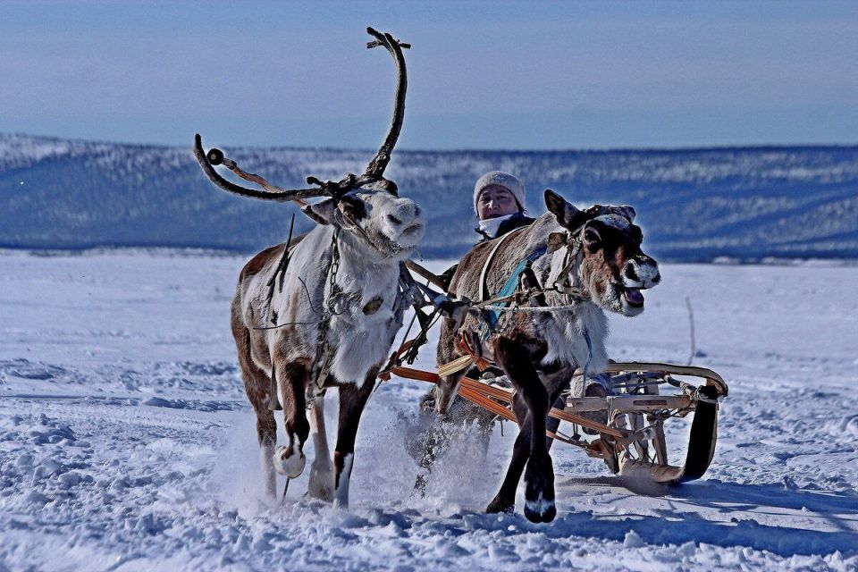 �������� � ����� ���������� ��������