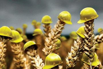 � 2026 ���� � ��� �������� �������� �������� ��������������������� ����������� ����������