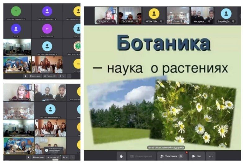 Воспитанники Свердловской СЮН вместе с красноярскими юннатами разработали Дорожную карту школьных лесничеств Воспитанники Свердловской СЮН вместе с красноярскими юннатами разработали Дорожную карту школьных лесничеств