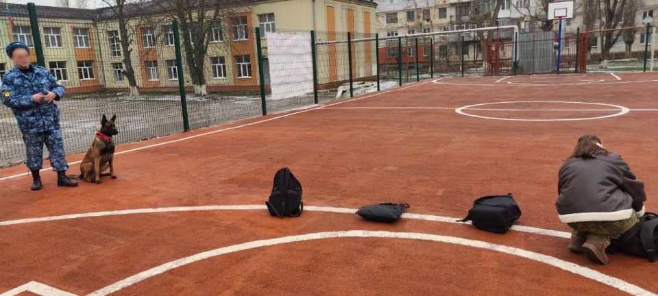 Кинологи кинологического отделения ИК № 5 регионального УФСИН организовали показательное выступление для учащихся Кинологи кинологического отделения ИК № 5 регионального УФСИН организовали показательное выступление для учащихся