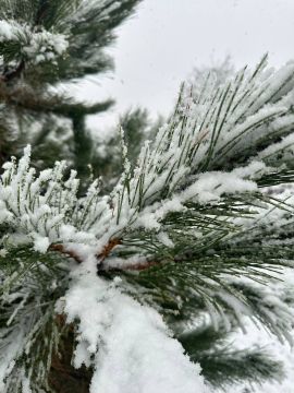 � ������ �����, ������ ����������� �������������� ������ !