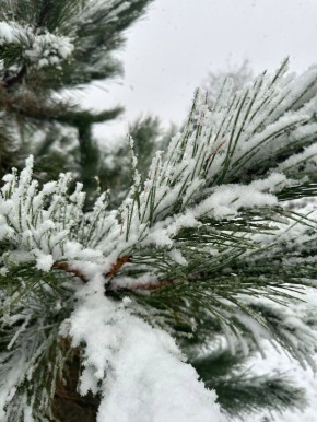 � ������ �����, ������ ����������� �������������� ������ !