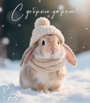 Доброе утро! Этот пушистый кролик в вязаной шапочке напоминает: даже в мороз можно чувствовать себя уютно