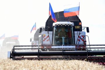 ������������ �����������: ������ ������� ��������������� ����������� ���������� ����� ������