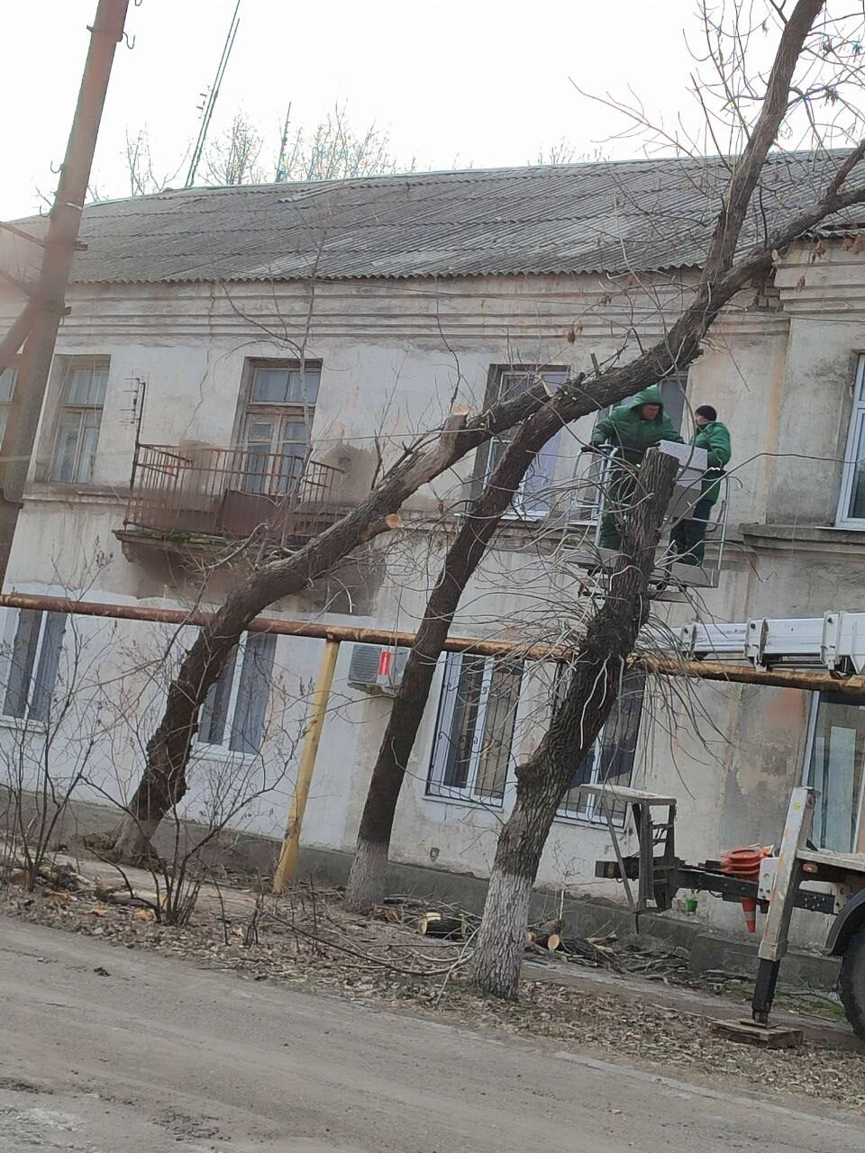 В посёлке Дубовский продолжается работа по спилу аварийных деревьев