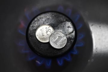 Платить будем больше: В ЛНР утверждены новые тарифы на природный газ для населения