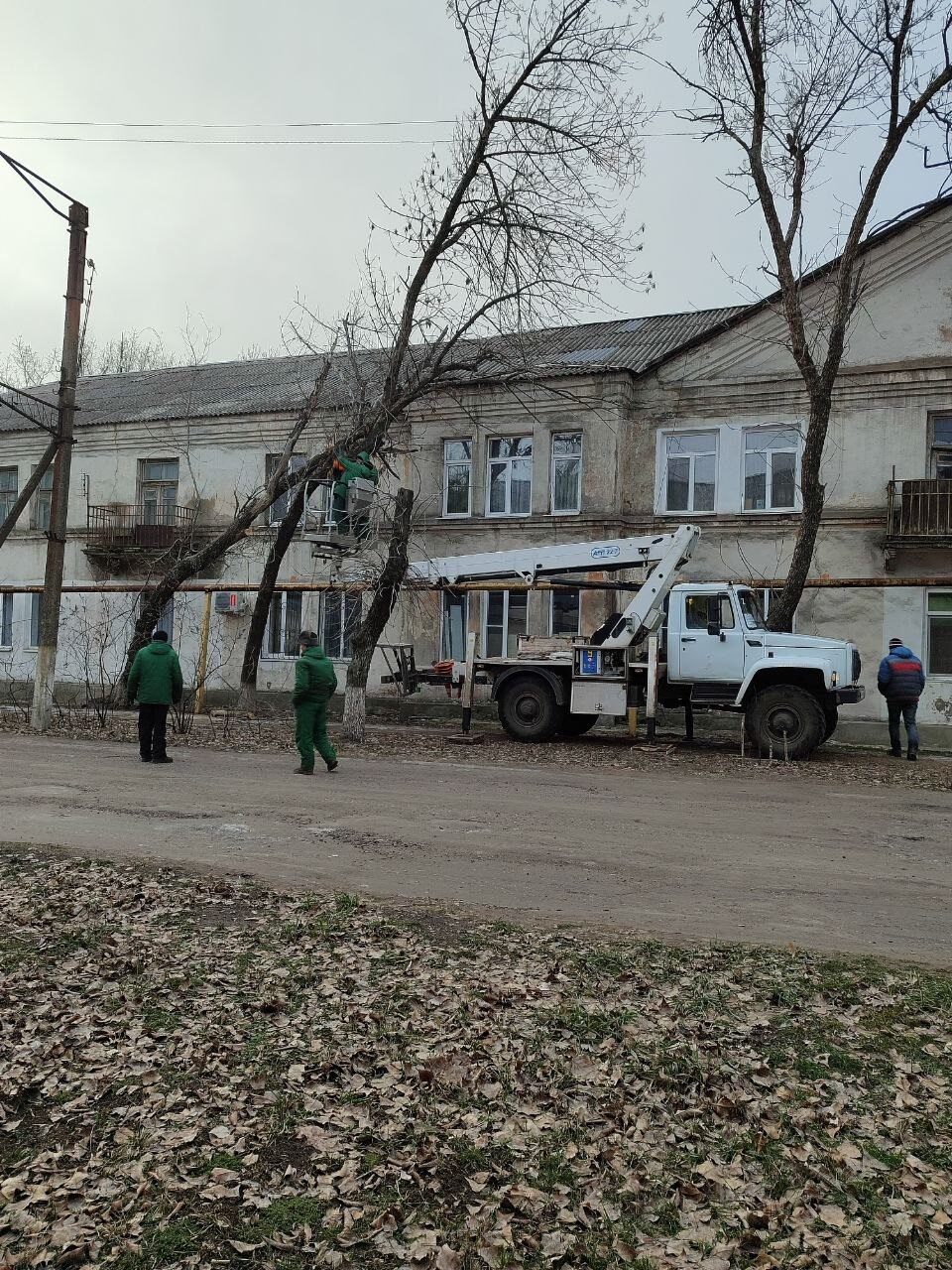 В посёлке Дубовский продолжается работа по спилу аварийных деревьев В посёлке Дубовский продолжается работа по спилу аварийных деревьев