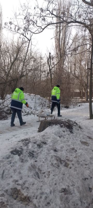В рамках мероприятий по обеспечению безопасности пешеходов в зимний период сотрудниками МУП ДЭРСУ выполнены работы по обработке противогололедными материалами В рамках мероприятий по обеспечению безопасности пешеходов в зимний период сотрудниками МУП ДЭРСУ выполнены работы по обработке противогололедными материалами