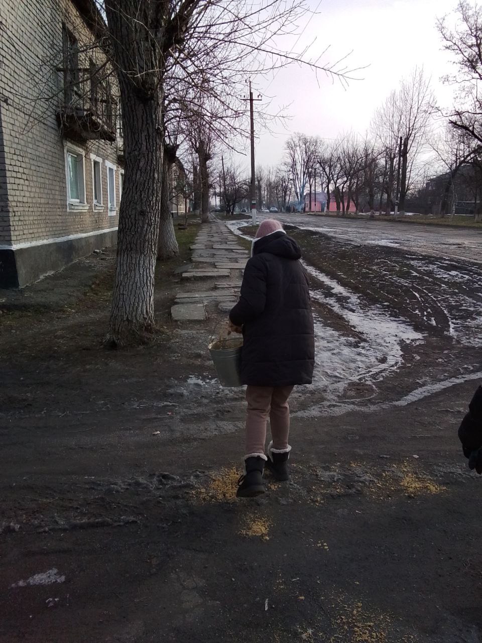 Забота о чистоте и порядке в наших поселках! Забота о чистоте и порядке в наших поселках!