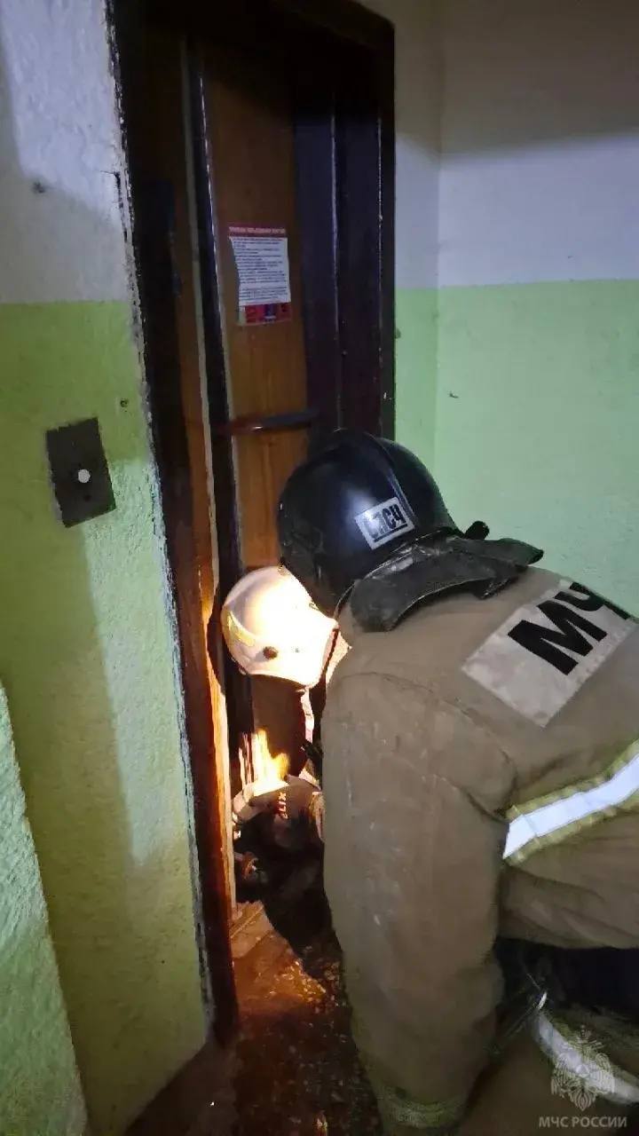 Спасатели МЧС России потушили пожар в луганской многоэтажке Спасатели МЧС России потушили пожар в луганской многоэтажке