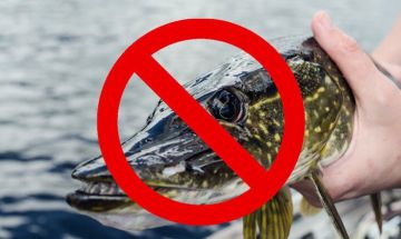 � ��� � 15 ������ �������� � ���� ������ �� ������ ���� � ������ �������� �������