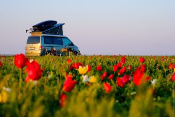 Минэконом ЛНР в 2026 году начнет разработку программы автомобильного туризма